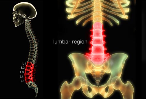 illustration of lumbar spine